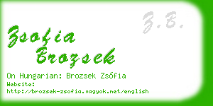 zsofia brozsek business card